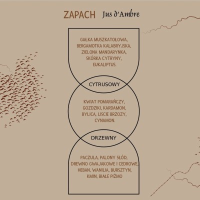 Mini balsam do ciała, perfumowany 40ml - mini balsam Prija 30ml